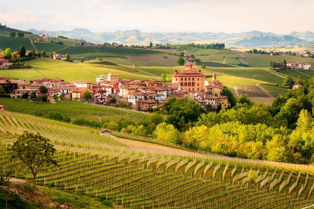 Von Salis Wein Piemont Barolo Header Von Salis Wein Piemont Barolo Header