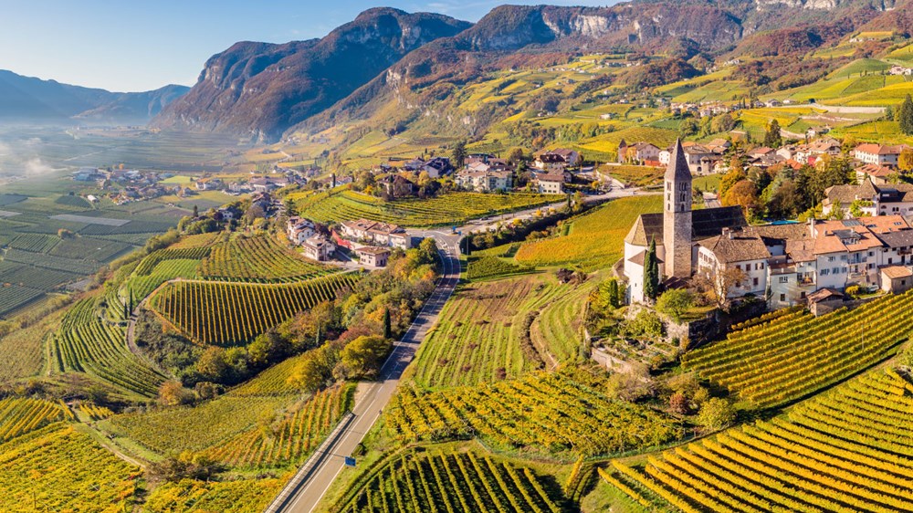 Von Salis Wein Blog Südtirol Altoadige Titelbild Von Salis Wein Blog Südtirol Altoadige Titelbild